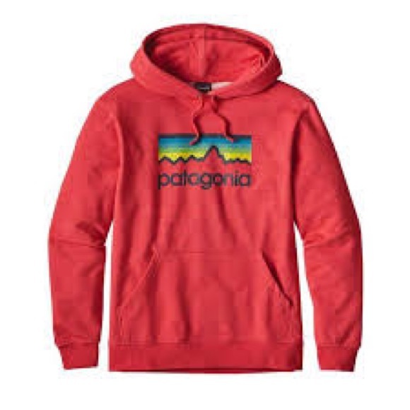 Patagonia Other - Patagonia Organic Cotton Hoodie Sweatshirt Mens Size LG Uprisal Mountain Logo